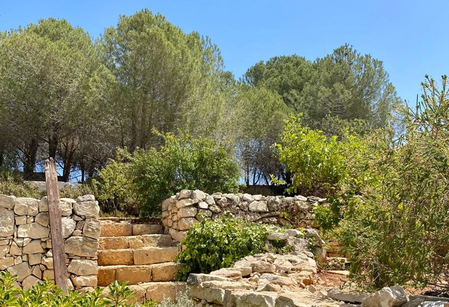 sambata-sonora sambata-sonora