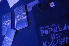 Simultan 2013