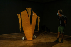 Irina Bujor (Shield no. 11)