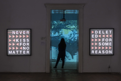 exhibition view - Andrei Tudose