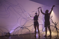Electric Somatic,  Photo Daliana Iacobescu