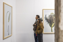 Nature After Nature (Matei Bejenaru)